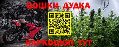 индика Гай