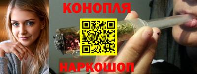 индика Гай