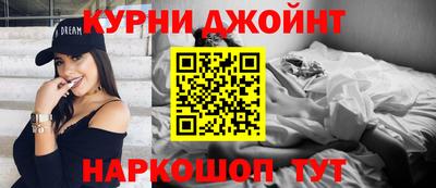 индика Гай