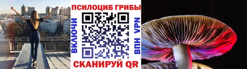 Галлюциногенные грибы ЛСД  наркота  hydra как войти  Качканар 