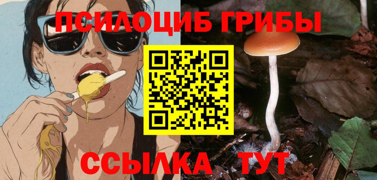 Качканар  Галлюциногенные грибы GOLDEN TEACHER  Вход с VPN 