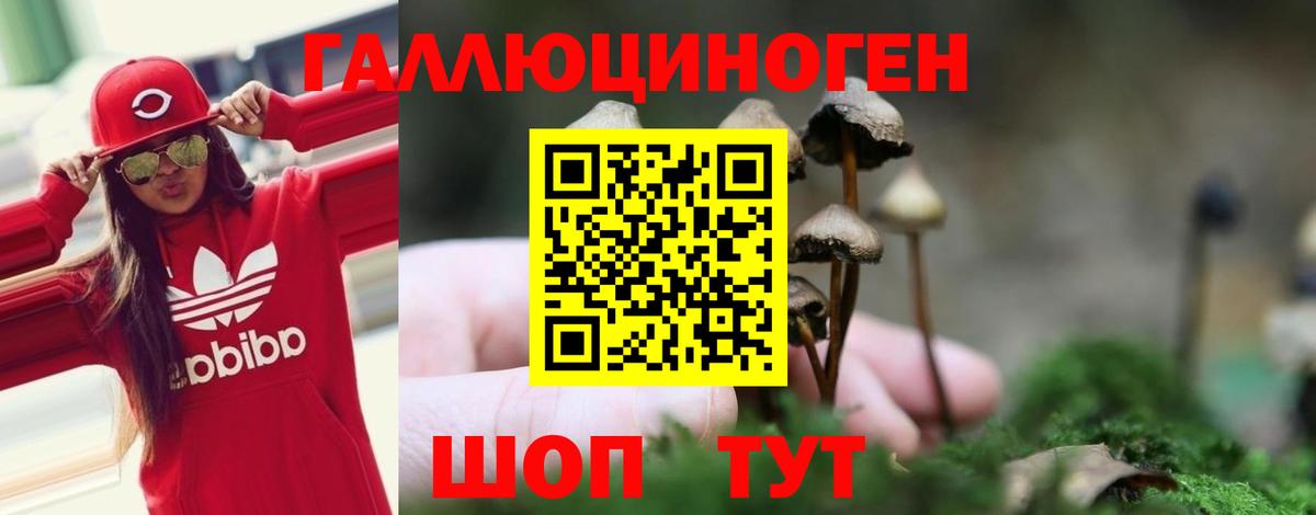Псилоцибиновые грибы мицелий Качканар